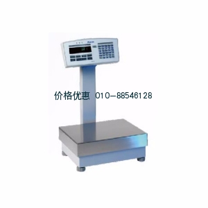 工業(yè)天平IBK24000D
